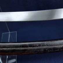 German 19th Century Infantry Briquet Sabre 10